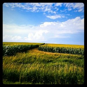 🌠💥 BUY 2 ITEMS & GET ONE FREE!!!💥🌠